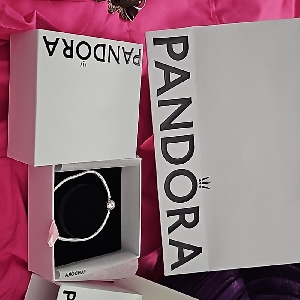 NIB/NIP Pandora Bracelet & Polishing Cloth With (8) Pre-Loved Beads - Picture 11 of 12
